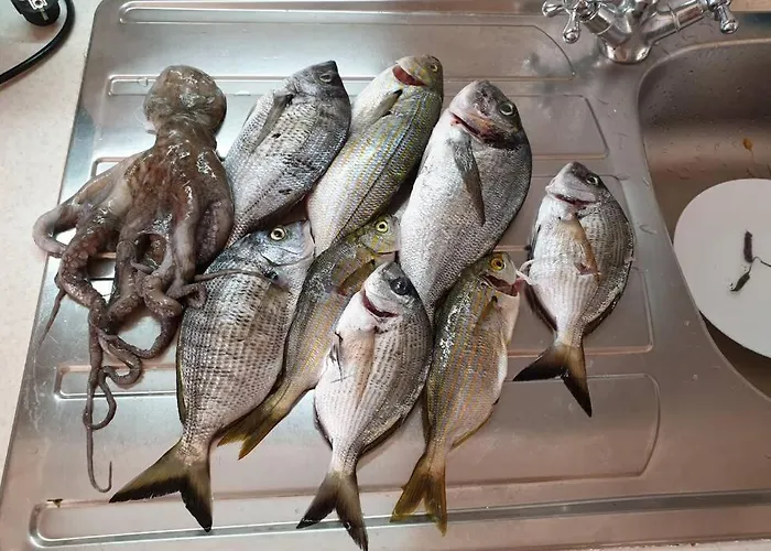 Lea - Amazing Sea View Sreser